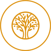 Icon-Ätherische-Öle